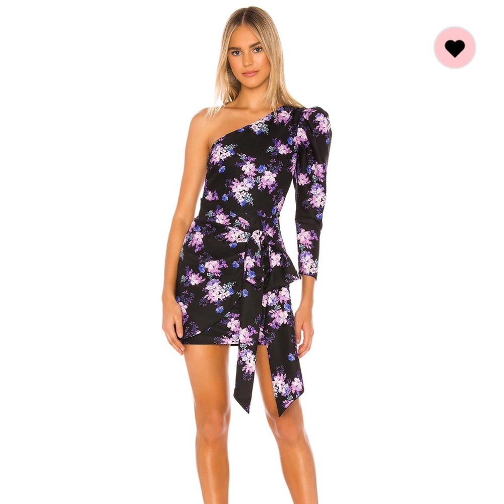 COPY - Lovers + Friends Sullie Mini Dress